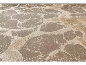 廢水處理中常用的氧化劑和還原劑有哪些？